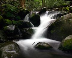 large image of small water fall
within green woodland